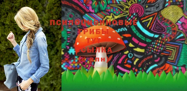 дмт Аркадак