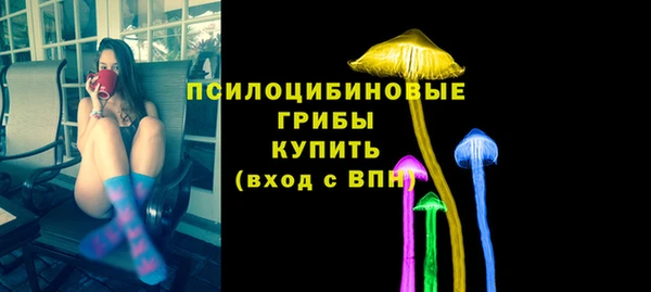 дмт Аркадак