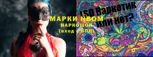 дмт Аркадак