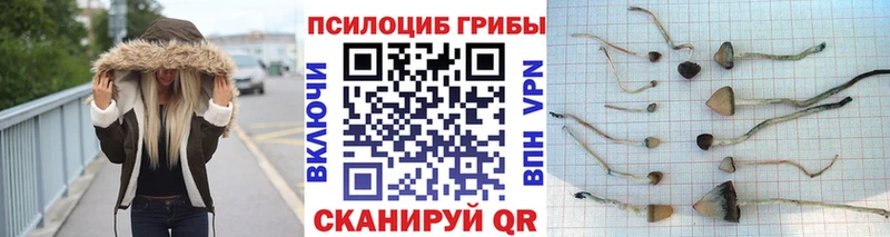даркнет сайт  Сысерть  Псилоцибиновые грибы Magic Shrooms 